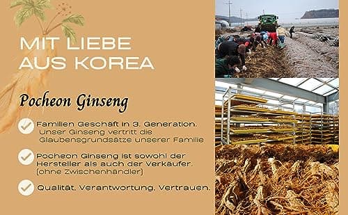 Pocheon - Bâton d'extrait de ginseng rouge coréen et de grenade - 300 ml (10 ml x 30) - Panax coréen - Support immunitaire naturel - Sans sucre ajouté