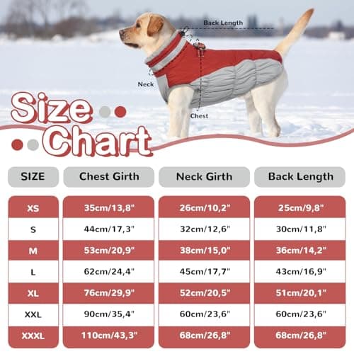 Hjumarayan Manteau Chien - Manteau Chien avec Harnais Réfléchissant Manteaux d'hiver pour Chiens Manteau Chien Imperméable, Manteau Chien Petite Taille Manteau Bouledogue Francais - Rouge M