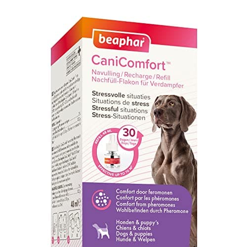 BEAPHAR – CANICOMFORT – Recharge pour diffuseur électrique de phéromones pour chien – Réduit le stress et les comportement non désirés sans dépendance ni somnolence – Prêt à l'emploi – 1 x 48 ml
