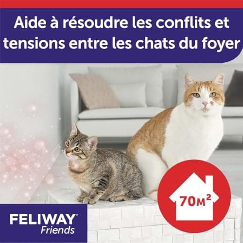 FELIWAY Friends – Anti Conflit pour Chat - Recharge 48 ml
