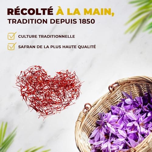 Safran en Filaments, Safran Premium 100% Naturel, Safran en Filaments pour Paella Élaboré de Manière Traditionnelle, Épice pour Cuisiner, Filaments de Safran de Qualité Supérieure (5 gr)