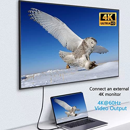GELRHONR Cable USB C vers USB C 90 Degrés, Type c Male vers Type c Femelle Charge Rapide 100W Transfert de Données 10Gbps Supporte Vidéo 4K@60Hz pour Laptop,Tablet,Steam/Deck,S21/S20 (0.25M/0.8Ft)