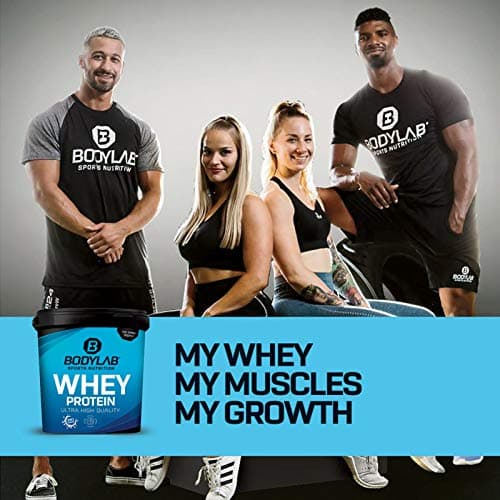 Bodylab24 Whey Protein Powder Noix de coco 1kg, pour des muscles plus forts, protéine de lactosérum peut favoriser la construction musculaire, avec 80% de protéines, sans aspartame