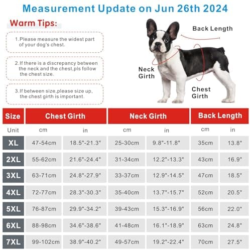 Oslueidy Ensemble de Récupération Post Chirurgicale pour Chien, Combinaison Pyjama pour Chien Corps Entier Grande Taille Moyenne Chien Récupération Ensemble Chirurgical Anti Léchage (Gris Foncé, XL)