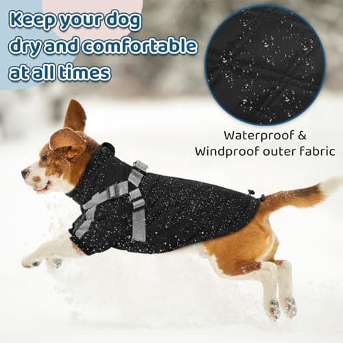 CITÉTOILE Manteau Chaud pour Chien, Veste Coupe-Vent pour Chien par Temps Froid, vêtement d'hiver pour Chien avec Fermetures éclair et Poignets Amples pour Chiens de Petite et Moyenne Taille, S