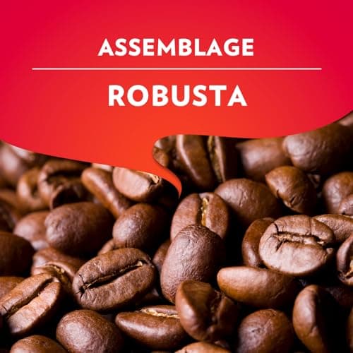 Lavazza - Il Mattino, Café Moulu, Idéal pour la Machine Filtre ou Manuelle, avec Notes Aromatiques de Fruits Secs, pour un Espresso au Goût Intense et Velouté, Robusta, Intensité 10/10, 4x250g