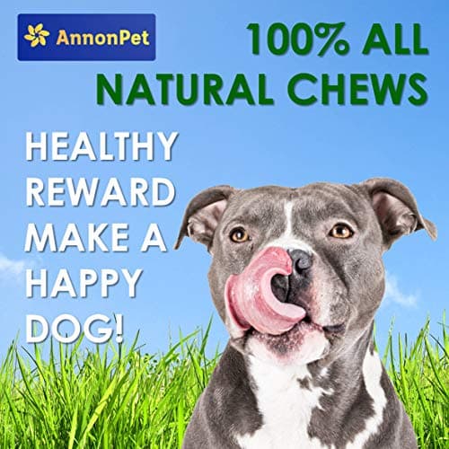 AnnonPet® Pattes de Poule séchées. Snack pour Chiens sans Gluten, idéal comme Prime et pour la Formation du Chien. Viande sèche Maxi Format 500 grammes