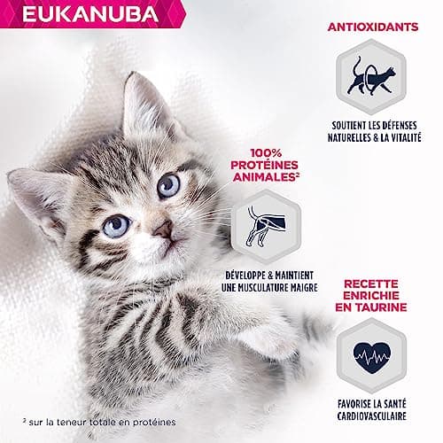 EUKANUBA Grain Free pour Chaton - Pâtée Premium SANS CEREALES – Sans gluten – Faible teneur en graisses - Riche en Agneau et enrichie en Taurine – 12 barquettes aluminium de 85 g