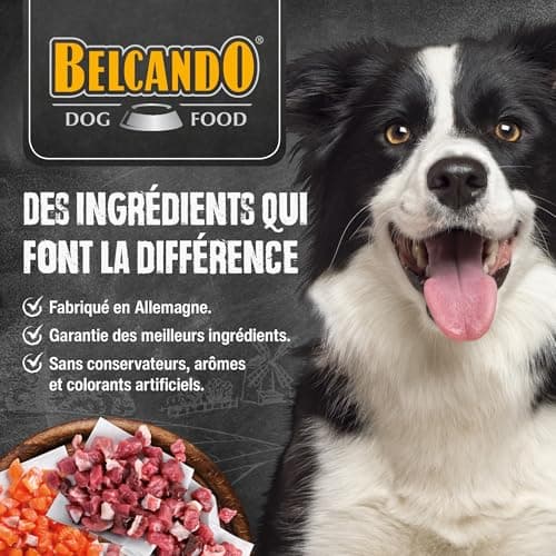 BELCANDO Mastercraft Topping [12x100g Multipack sorte “Saumon“] Nourriture Humide pour Chiens | sans céréales | Variété Pure | Complément Alimentaire pour Chiens