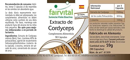 Fairvital | Cordyceps extrait 500mg Fortement dosé - 90 capsules - Cordyceps Sinensis - standardisé à 40% polysaccharides