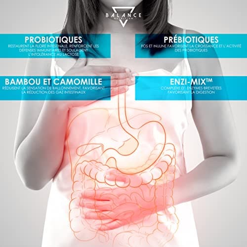 Probiotique Ferments Lactiques - 240 Capsules | Probiotique Flore Intestinale | Spectre Complet de 18 Souches Bactériennes, Lactobacillus Gasseri, Enzymes Digestives, Inuline | 10 Milliards UFC