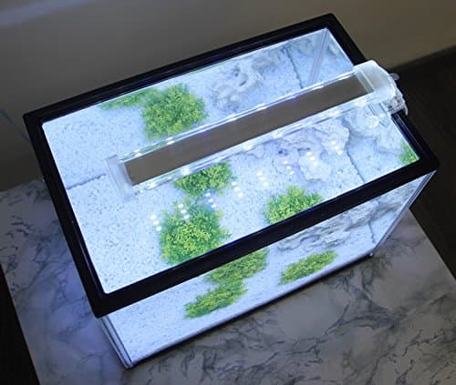 BPS Lampe d'aquarium LED submersible pour plantes lumière blanche et bleue 8W