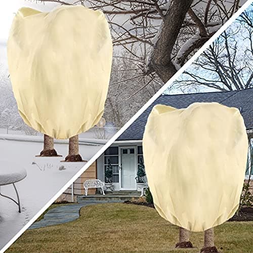 Tesmotor Housse D'hivernage, Housse de Protection pour Plantes, Voile d'hivernage économique Grande Capacité 80g/m2 - 360 x 250CM