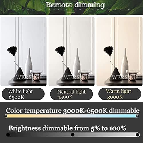 Plafonnier LED Plafonnier moderne en anneau noir, dimmable 3000K-6500K avec télécommande Lampe de chambre à coucher pour le salon Chambre à coucher Bureau Salle à manger (5 anneaux)