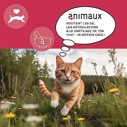 animaux Comprimés pour articulations pour Chats - 90 comprimés à mâcher - soutient Les articulations & Les os - Complément avec Moule Verte, Griffe du Diable & écorce de Saule in Motion Cats