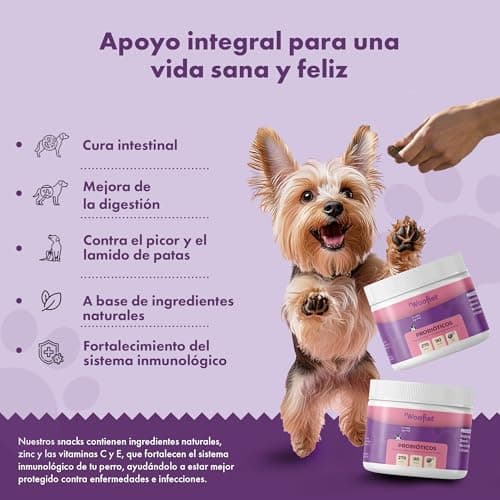Woofies Probiotiques Friandises digestives pour Chiens - 90 pièces - Renforce la Flore intestinale et améliore Le système immunitaire - Ingrédients 100% naturels Prébiotiques (Poulet)