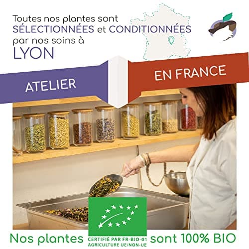 Chabiothé - bâtons de réglisse BIO 100g - IGP Italie, Calabre - sachet biodégradable - minimum 10 bâtons à mâcher - conditionné en France