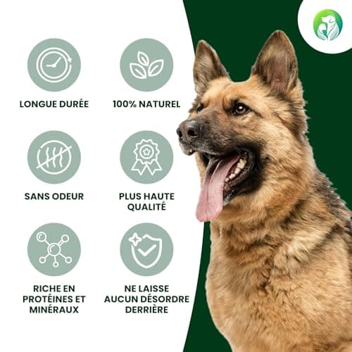 Bois de Cerf pour Chiens - Bois de Cerf pour Chiens Fabriqués à Partir de Bois de Cerf Rouge Naturel et Sélectionné avec Soin, Riche en Protéines et en Minéraux.- S (50-75g), Paquet de 3