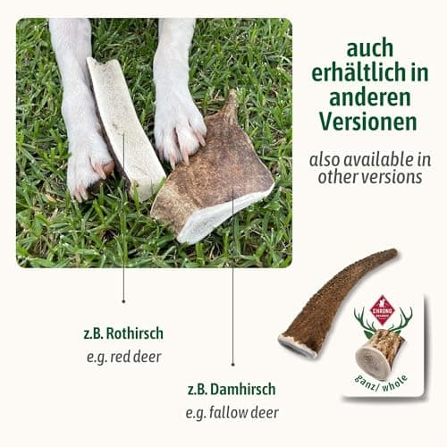 ChronoBalance® S (Lot de 1) à mâcher pour Chien : 100% Bois de cerf, Jouet à mâcher, bâton Dentaire Naturel pour Le Soin des Dents, Riche en minéraux et nutriments
