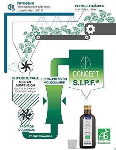 MÉLISSE bio française 100ml | Solution buvable de plantes fraîches | Digestion | Origine France certifiée | Certifié AB | Laboratoire SYNERGIA