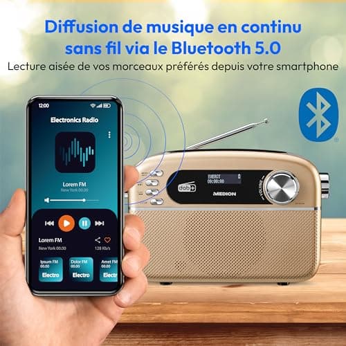 MEDION E66809 Dab Plus Radio Solaire Portable (Design rétro, Panneau Solaire, Bluetooth, Dab+ FM, Batterie intégrée, Port USB, AUX, minuteur de Mise en Veille, antenne télescopique) cuivre