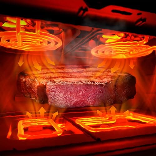 Cecotec Air Fryer Cecofry&Grill Duoheat 10000. Friteuse à Air sans Huile 10L, Grill et Plancha, Résistance Double, 2800W, Cuisson Rapide, Moins de Graisse, Résultats Consistants