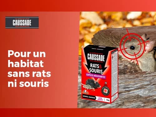 Caussade Anti Rats & Souris 150 g - Efficacité Radicale - Spécial Rats et Souris Résistants - 10 Pâtes Fluorescentes - Prêt à l'emploi - Hyper Appétent - Lieux secs et humides - Habitation, cuisine