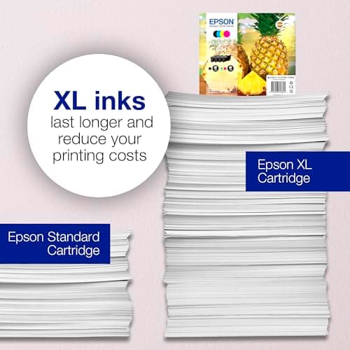 Epson Ink/604 Pineapple C13T10G64010 Multipack