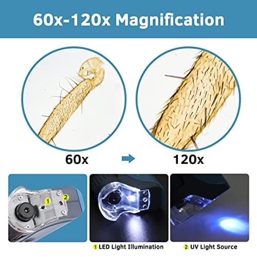 Microscope de Poche 60x-120x, Mini Microscope Portable avec Zoom éclairé par LED, 5 Lames de Microscope préparées, Microscope Portable pour Les Enfants, Les étudiants, l'observation microbiologique