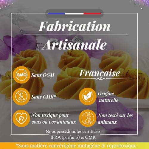 BOUGIE MAGIE - Fondant Parfumé pour Bruleur en Cire de Soja Naturelle Fait Main Parfumée - 6pcs/96 Grammes - Parfum Monoï Pêche - Coffret Cadeau