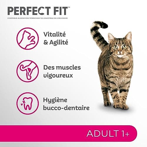 PERFECT FIT Adulte 1+ Croquettes pour chat adulte – Répond à des besoins spécifiques d'un chat stérilisé – Nourriture Riche en Poulet – 2,8 kg (Lot de 3)