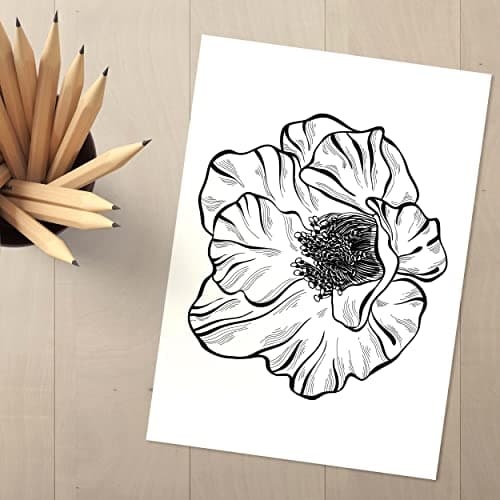 Newstamps Tampon en bois Motif coquelicot Pour la fabrication de cartes, le bricolage, les fleurs, les plantes, le scrapbooking
