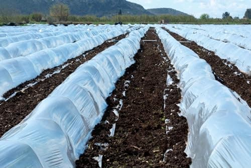 MAILEKT Bache pour Serre,Bache Plastique Transparente, Bache Serre Tunnel 3m x 3m, Film Polyéthylène de Extra-épais Clair Jardin Grandir Couverture De Polytunnel pour Légumes und Tomate