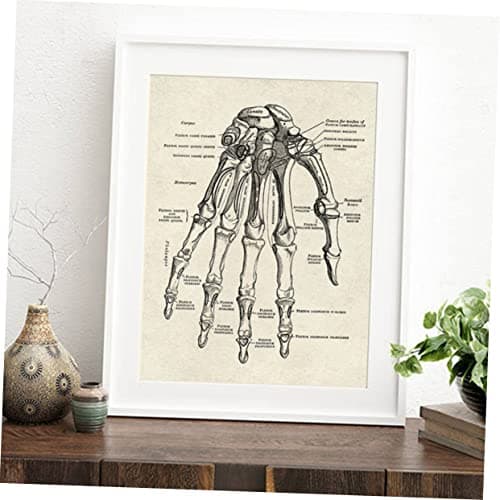 JEWEDECO 6 Pièces Anatomie Humaine Anatomique Posters Affiche D'anatomie D'apprentissage Tableau D'anatomie Apprentissage De La Planche Anatomique Tableau Anatomique Humain Black Papier