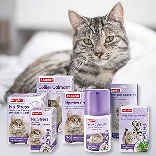BEAPHAR – NO STRESS – Diffuseur électrique calmant à la Valériane pour chat – Réduit le stress et les problèmes comportementaux sans dépendance ni somnolence – 1 prise + 1 recharge 30ml – 4 semaines