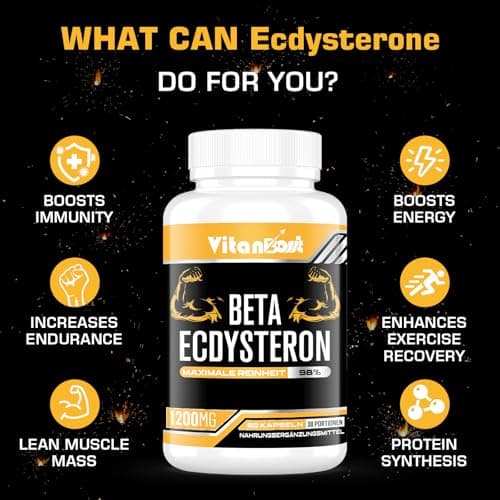 Supplément de Bêta-Ecdystérone 1200 mg | Pureté Maximale de 98% Formulée Pour une Absorption Améliorée (60 unité (Lot de 1))