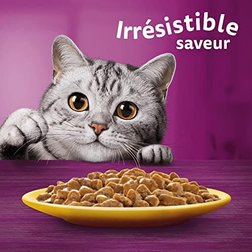 WHISKAS Repas pour Chat - 52 Sachets Fraîcheur (Lot de 13 Packs 4x85g) - Festins à la Volaille (2 saveurs) - Pâtée pour Chat Adulte en Sauce. Nourriture Humide Complète Adaptée aussi Chats Stérilisés