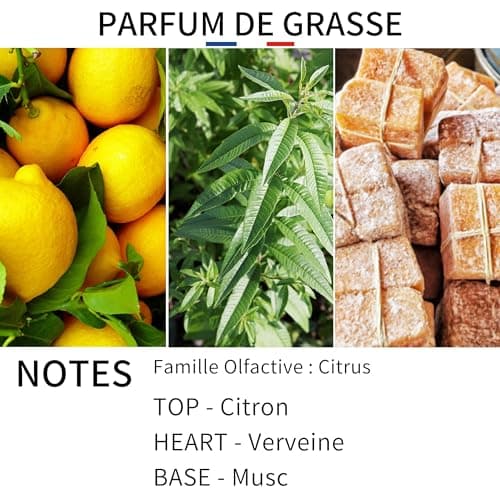 ELIALYS Bougie Parfumée Artisanale au Parfum de Grasse, VERVEINE, Mèche en Bois Crépitante - PACIFIQUE, 350g, ±70 heures de combustion, Fabriquée en France - Parfum Intense & Longue durée