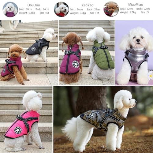 Gilet d’hiver avec harnais pour petits chiens, chats et chiots - Veste chaude