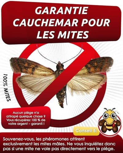 PIC Anti Mites Alimentaires – 12x Piege a Pheromone pour Cuisine et Placard | Sans insecticide, sûr pour les aliments, efficace jusqu'à 8 semaines, détection précoce dans placard et garde-manger