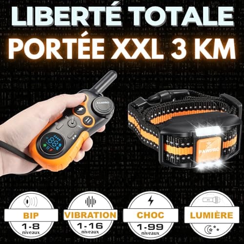 PAWPRO Collier de Dressage, Portée de 3km, Mode Lumière Nocturne, Guide de Dressage Inclus, 124 Niveaux d’Entraînement, BIP Vibration Choc, Adapté à Tous Les Chiens, Étanche Rechargeable, Marque FR
