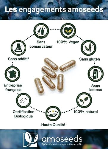 Cheveux BIO | Force & Croissance | Stimule la Pousse, Fortifie les Cheveux | Myrtille, Prêle, Roquette | 90 gélules de 300mg | Qualité Supérieure