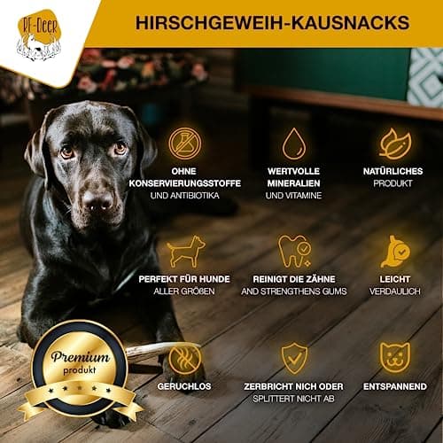 RF - Deer Bois de Cerf élaphe S (Lot de 5), Soft, 100% Naturel Bâtonnets Jouets à mâcher naturels pour Chien, Mâcher des os pour Le Plaisir et Les Soins dentaires, favorisant l'hygiène Dentaire