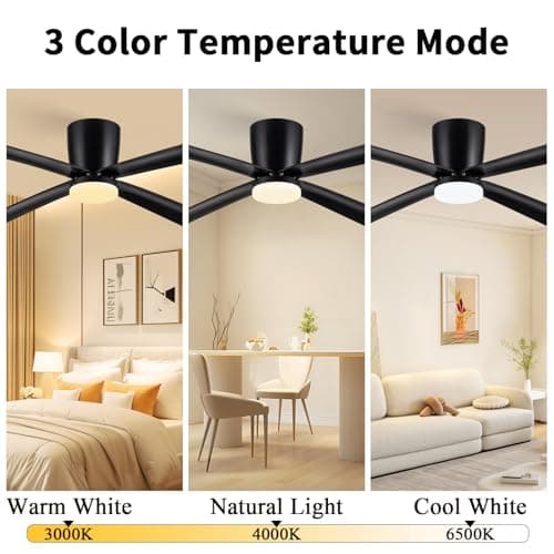 Newday Ventilateur de Plafond avec Lumiere et Télécommande Noir, 122cm Ventilateur de Plafond avec Lampe LED, Ventilateur Plafonnier Silencieux 4 Pales Pour Chambre Salon Bureau Cuisine, DC Moteur
