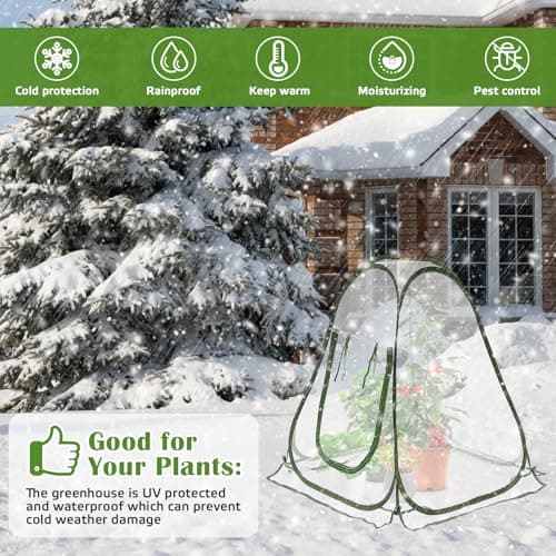 Mini Serre de Jardin 70x70x80 cm Tente d'Hivernage Petite Serre en PVC avec Porte Zippée Pas de Montage Nécessaire pour Plantes Fleurs Légumes Interieur Exterieur