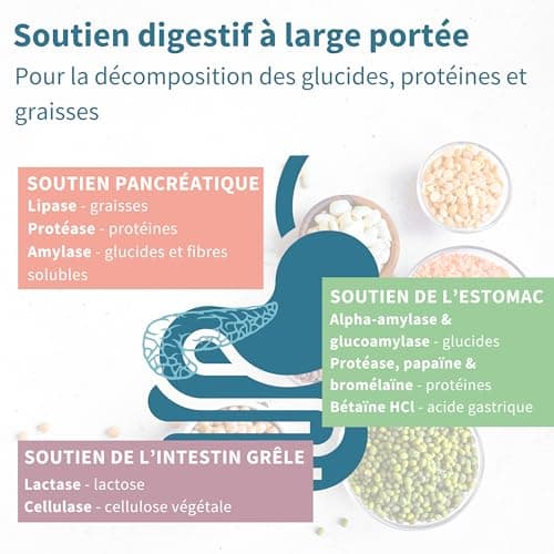 Enzymes Digestives & Bétaïne HCl, 90 Capsules, Complexe Avancée de 10 Enzymes Digestives compris Bromélaïne, Papaïne, Lactase, Lipase, Formule Pure et 100% Végétale - par Igennus