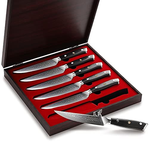 Sunnecko Couteaux à Steak Damas 6 Pièces, Coffret de Couteaux de Table en Acier Damassé 73 Couches, Set Couteau Cuisine Japonais Lame 13cm, Couteau Viande Manche G10