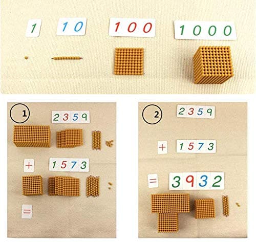 YYSDH Montessori d'or Perle Matériel Ensemble, Math décimale Bois Banque élémentaire Aides à l'enseignement des mathématiques de manipulatives pour Les Jouets de la Maternelle