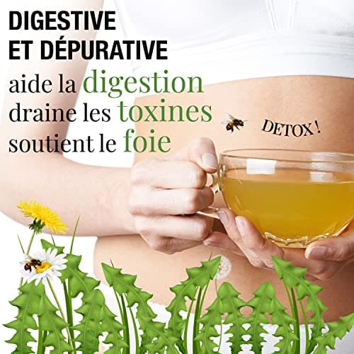 ORIGEENS TISANE PISSENLIT BIO 100g Origine Europe | Infusion pissenlit bio, tisane detox et diurétique | Feuilles de pissenlit bio