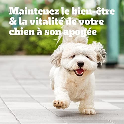 Pedigree Multivitamines Digestion Compléments Alimentaires pour Chiens - Friandises avec probiotiques, Sachet de 36x180g, Récompenses Qui aident au Maintien d'une Bonne Digestion, Facile à Manger